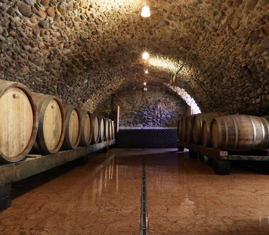Cellar Verona, Valeggio sul mincio, vinificazione, enoturisti